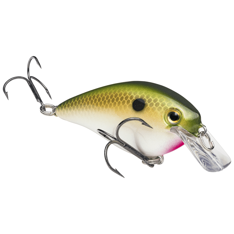 Strike King KVD 1.5 HC Squarebill Silent Crankbait - Angler's Pro Tackle & Outdoors