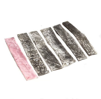 Blue River Carp Fish Attack Strips