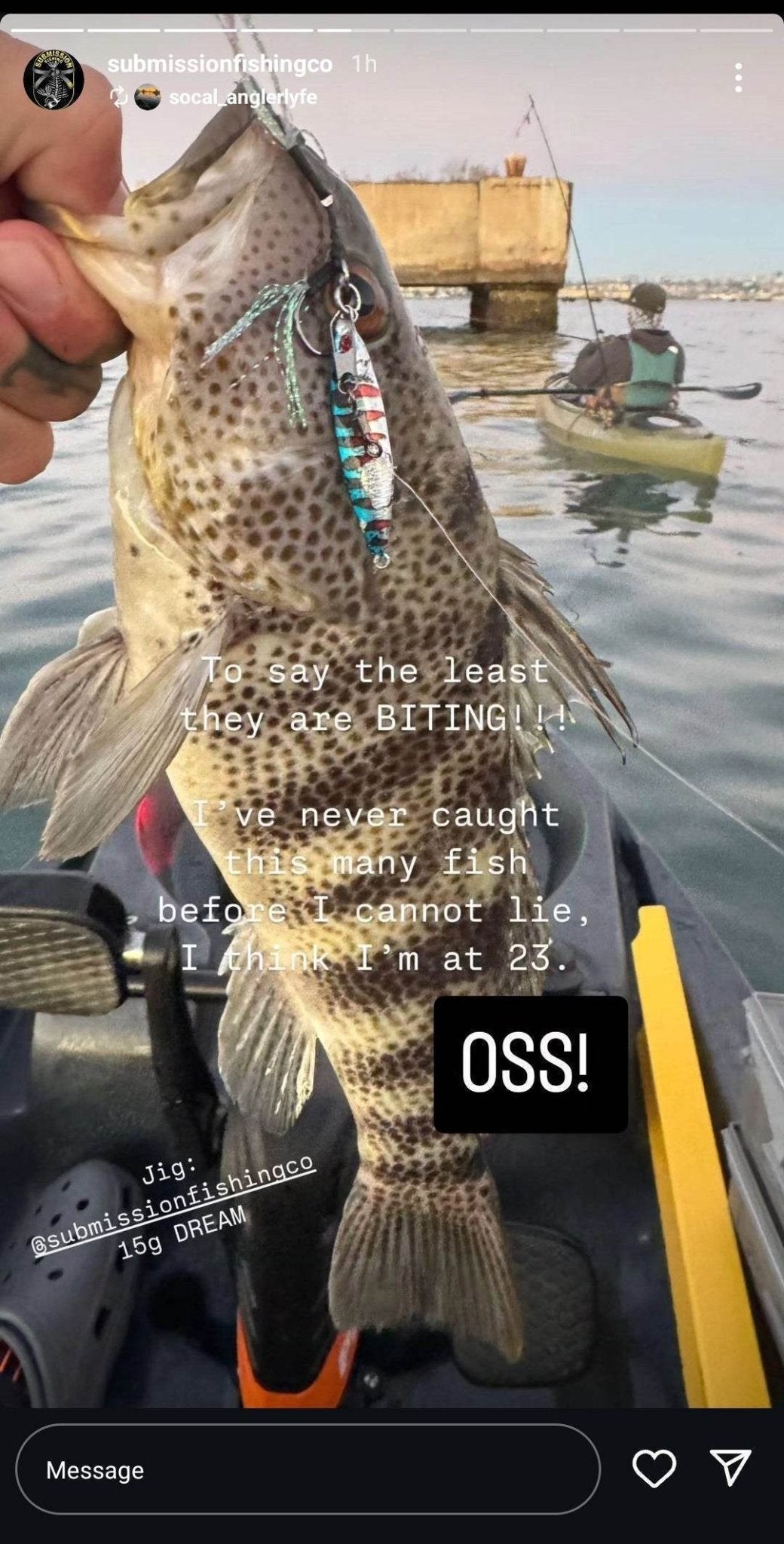 Submission Jigs - Micro Mercenary - Slow Pitch Jigs - 4 Packs - Angler's Pro Tackle & Outdoors