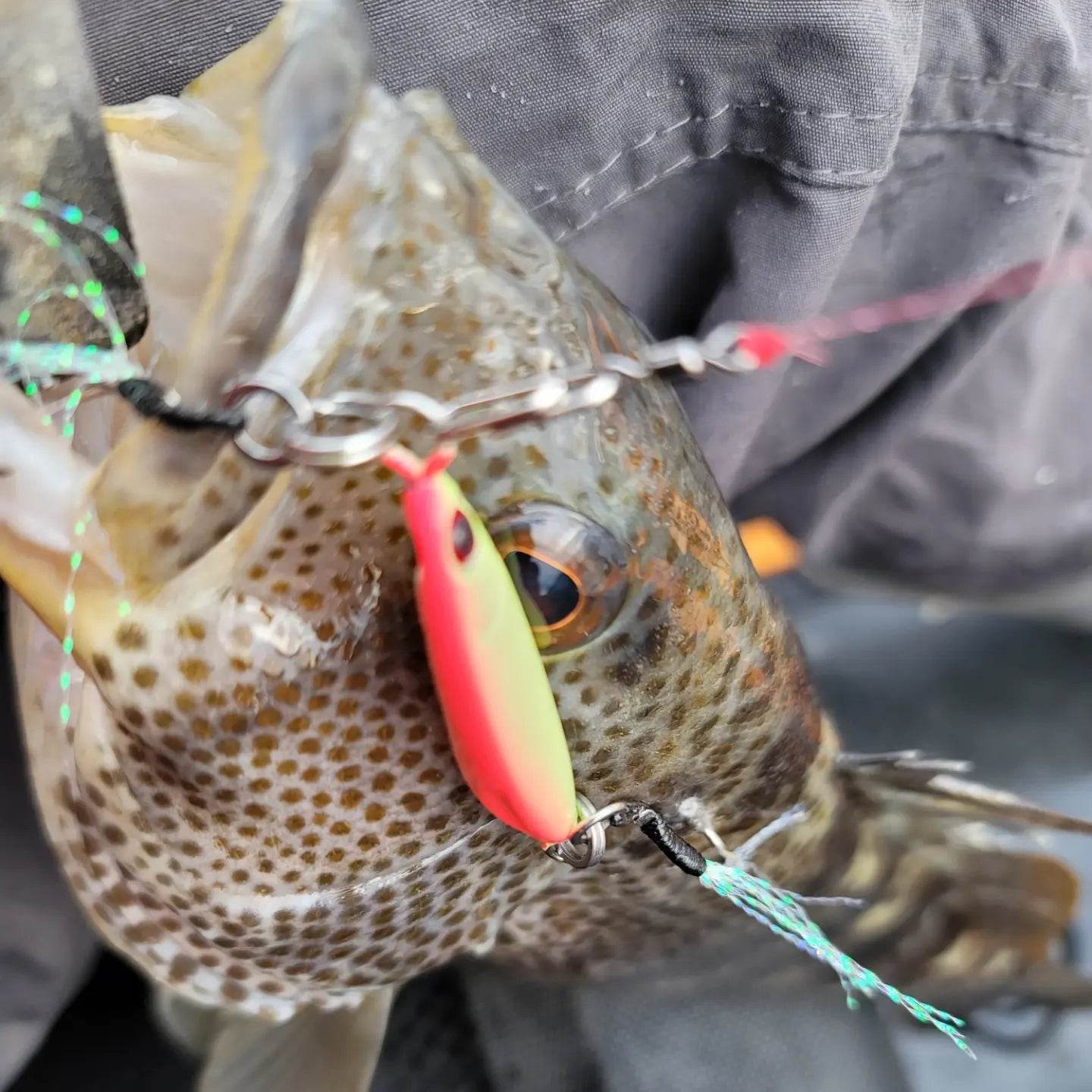 Submission Fishing Co - Sumo Jigs - Middleweight Division
