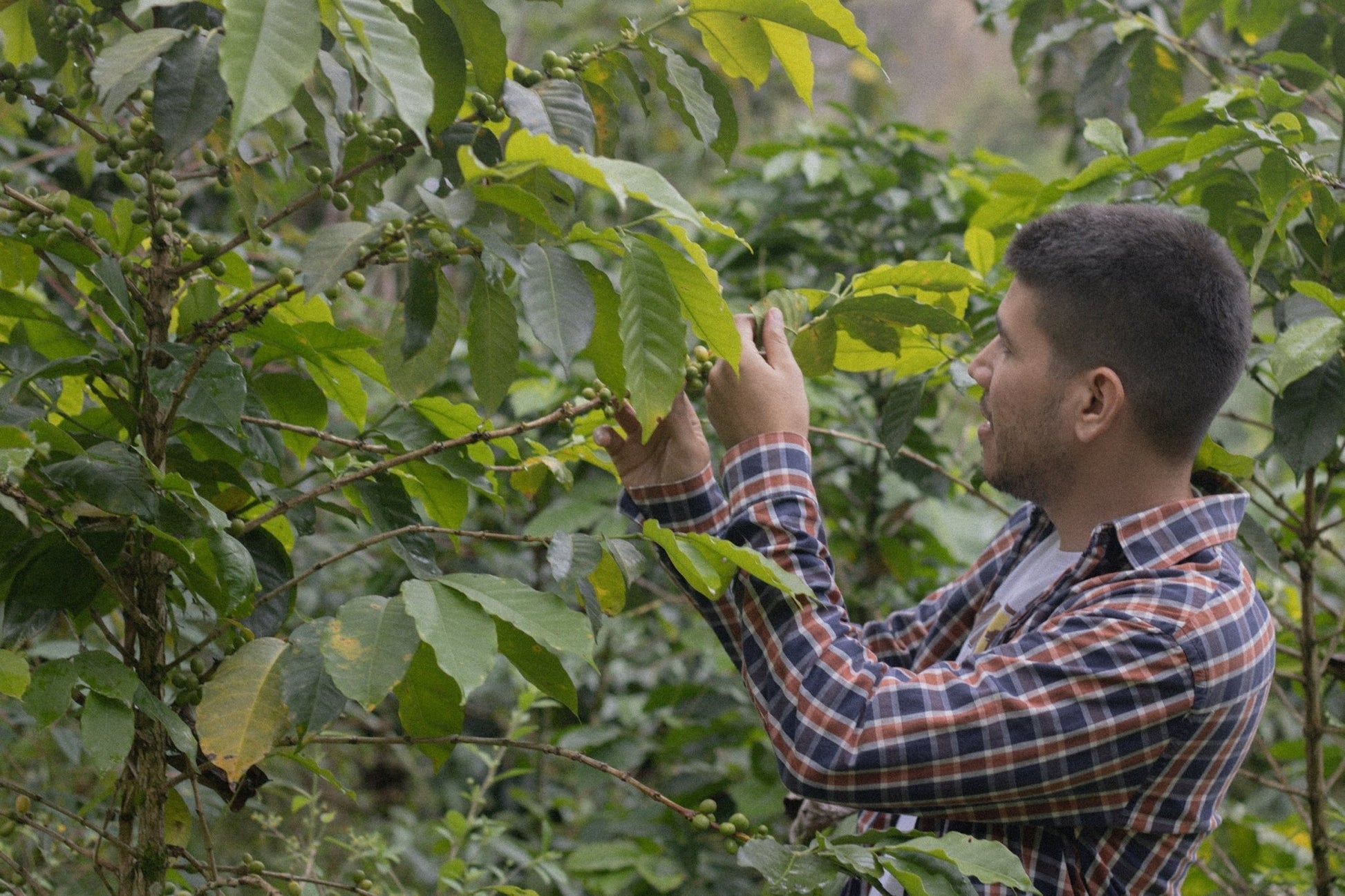 Superlost Coffee Solo Sabado - Angler's Pro Tackle & Outdoors