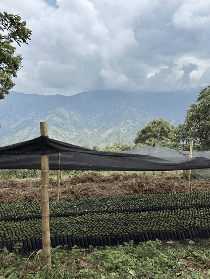 Superlost Coffee Supernatural - Angler's Pro Tackle & Outdoors