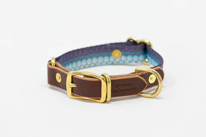 Whiskey Leatherworks Saltwater Dog Collars