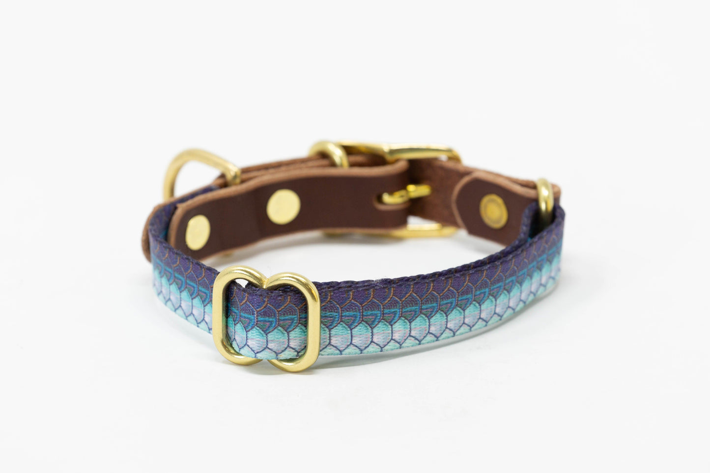 Whiskey Leatherworks Saltwater Dog Collars