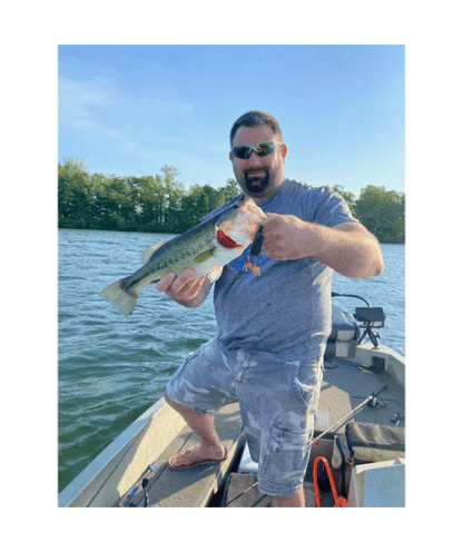 WM Bayou Techno Frog