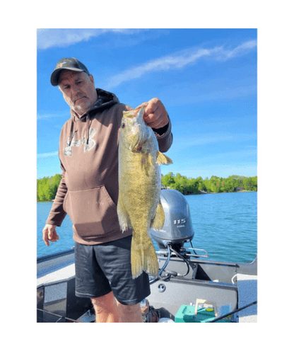 WM Bayou Techno Frog