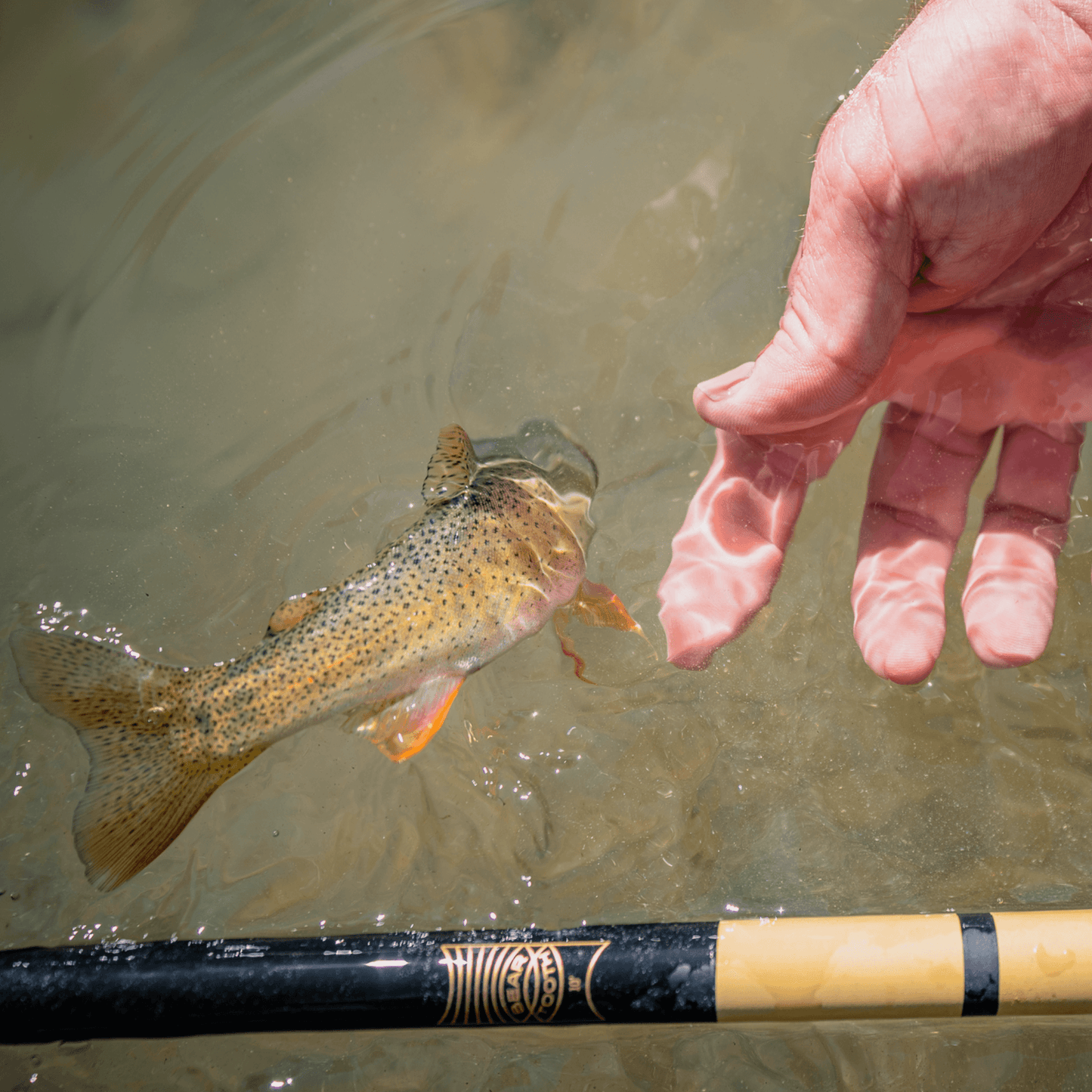 Tenkara Rod Co. Beartooth - Angler's Pro Tackle & Outdoors