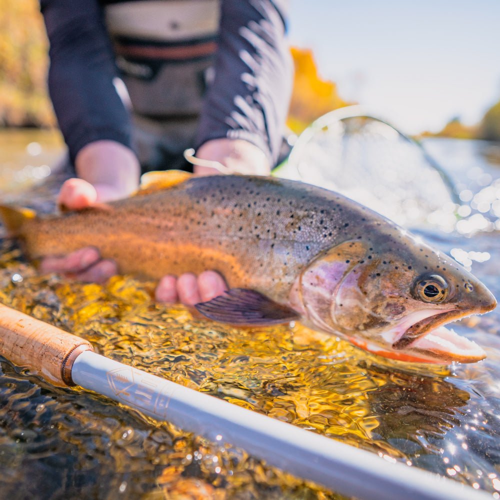 Tenkara Rod Co. Rocky - Angler's Pro Tackle & Outdoors