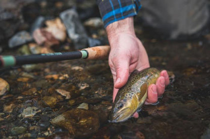 Tenkara Rod Co. Teton Zoom - Angler's Pro Tackle & Outdoors