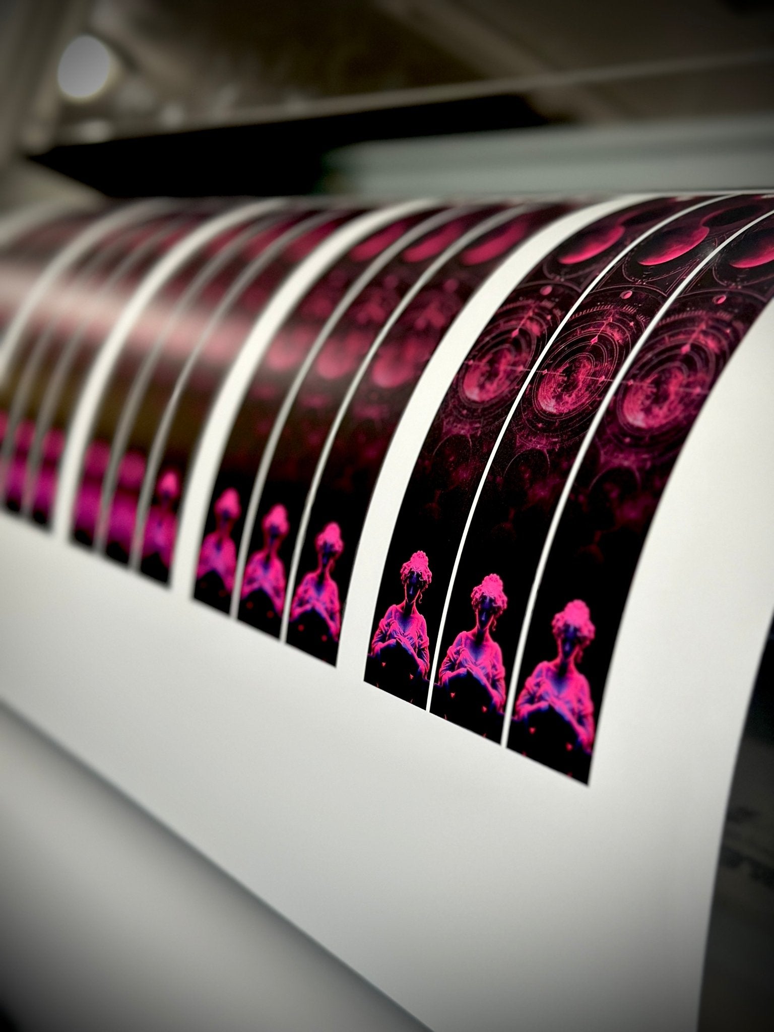 The Bowtique Cosmos Arrow Wraps - Angler's Pro Tackle & Outdoors