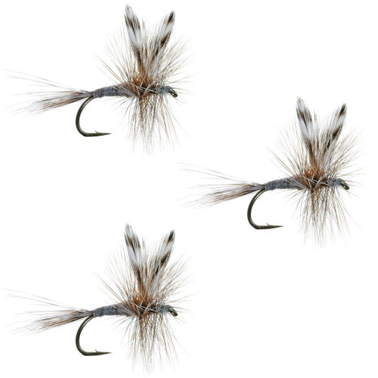 The Fly Fishing Place 3 Pack Adams Classic Dry Fly - Hook Size 12 - Angler's Pro Tackle & Outdoors