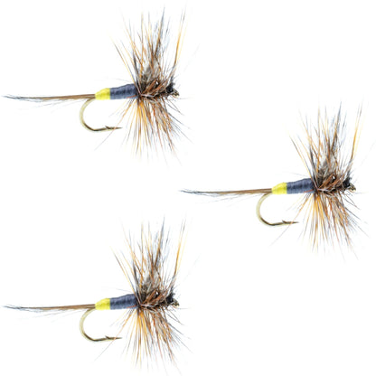 The Fly Fishing Place 3 Pack Adams Female Classic Dry Fly - Hook Size 12 - Angler's Pro Tackle & Outdoors