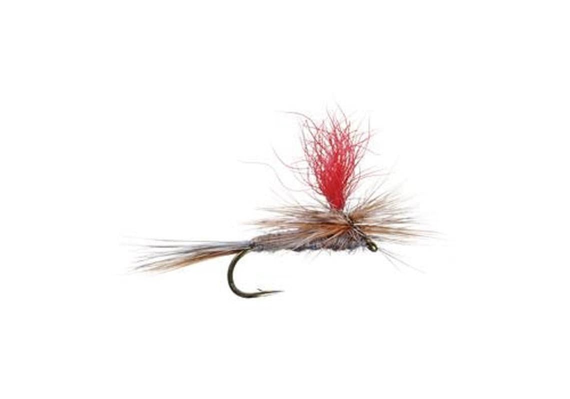The Fly Fishing Place 3 Pack Adams Hi - Viz Parachute Classic Dry Fly - Hook Size 18 - Angler's Pro Tackle & Outdoors