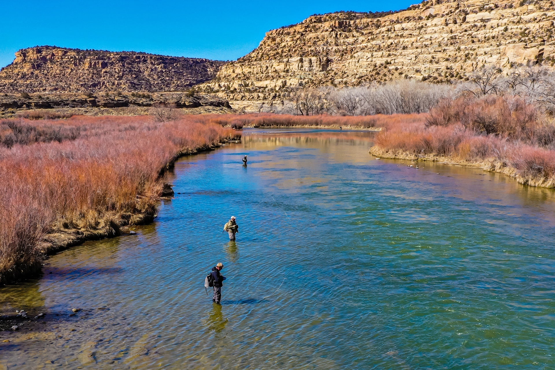 The Fly Fishing Place 3 Pack Adams Hi - Viz Parachute Classic Dry Fly - Hook Size 18 - Angler's Pro Tackle & Outdoors