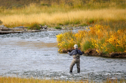 The Fly Fishing Place 3 Pack Adams Parachute Classic Dry Fly - Hook Size 20 - Angler's Pro Tackle & Outdoors