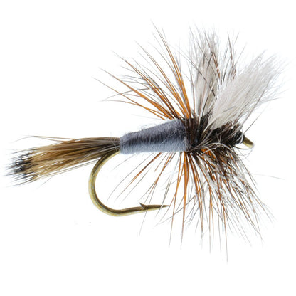 The Fly Fishing Place 3 Pack Adams Wulff Classic Dry Fly - Hook Size 14 - Angler's Pro Tackle & Outdoors