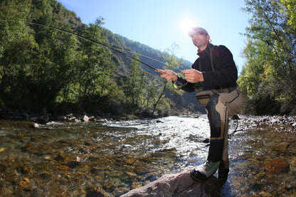 The Fly Fishing Place 3 Pack Barbless Bead Head Flashback Pheasant Tail Nymph Flies Hook Size 14 - Angler's Pro Tackle & Outdoors