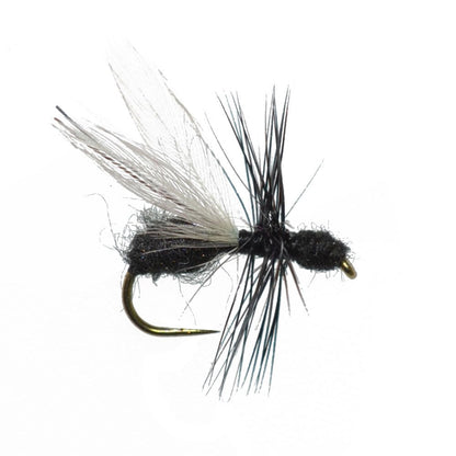 The Fly Fishing Place 3 Pack Barbless Black Fur Flying Ant Terrestrial Trout Dry Fly Fishing Flies - Hook Size 14 - Angler's Pro Tackle & Outdoors