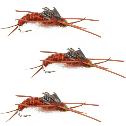 The Fly Fishing Place 3 Pack Barbless Gold Bead Kaufmann's Brown Stone Fly with Rubber Legs - Stonefly Wet Fly - Hook Size 10 - Angler's Pro Tackle & Outdoors