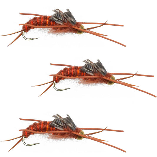 The Fly Fishing Place 3 Pack Barbless Gold Bead Kaufmann's Brown Stone Fly with Rubber Legs - Stonefly Wet Fly - Hook Size 6 - Angler's Pro Tackle & Outdoors
