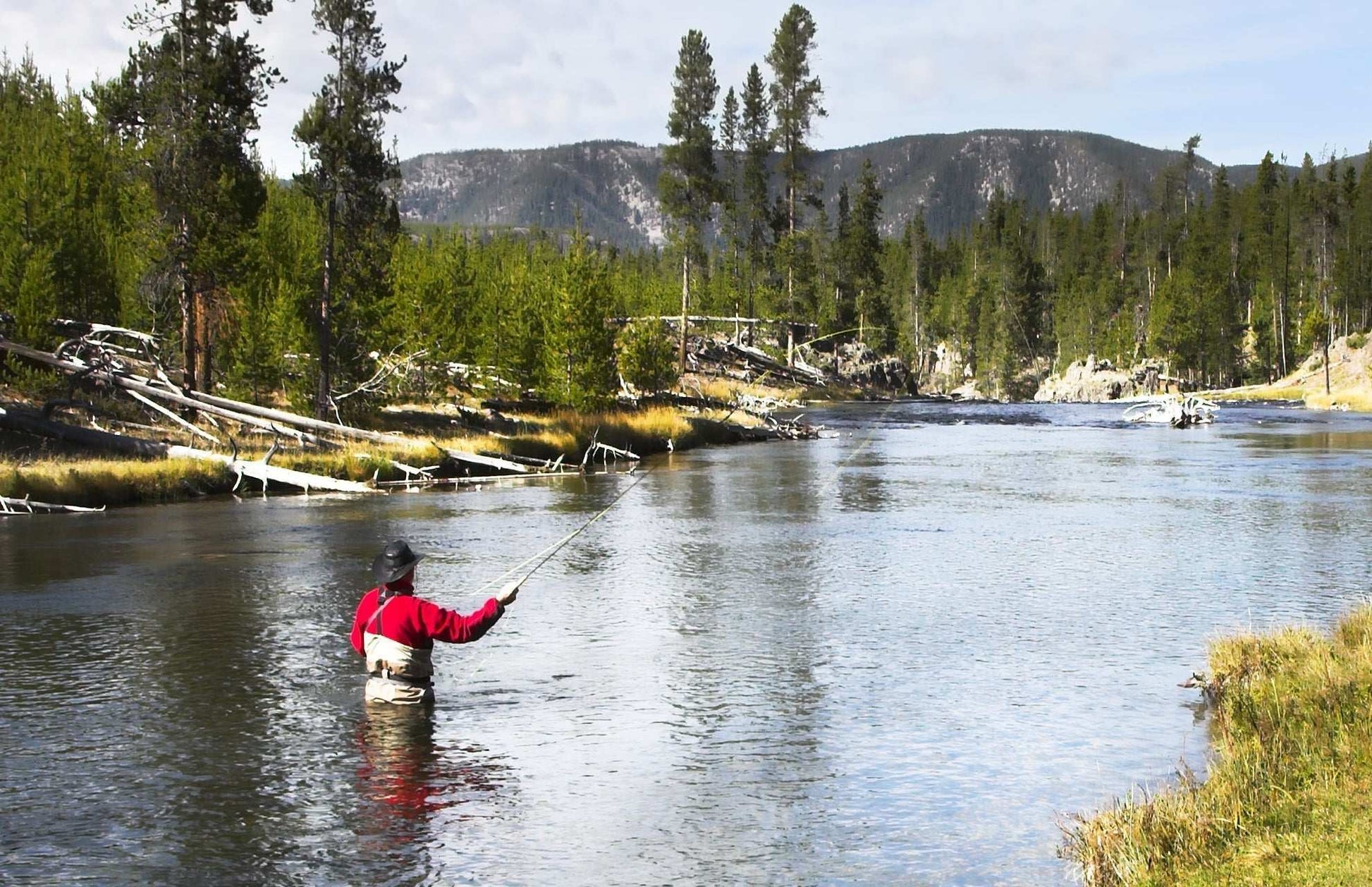 The Fly Fishing Place 3 Pack Bead Head Metallic Blue Copper John Nymph - Fly Fishing Flies - Hook Size 14 - Angler's Pro Tackle & Outdoors