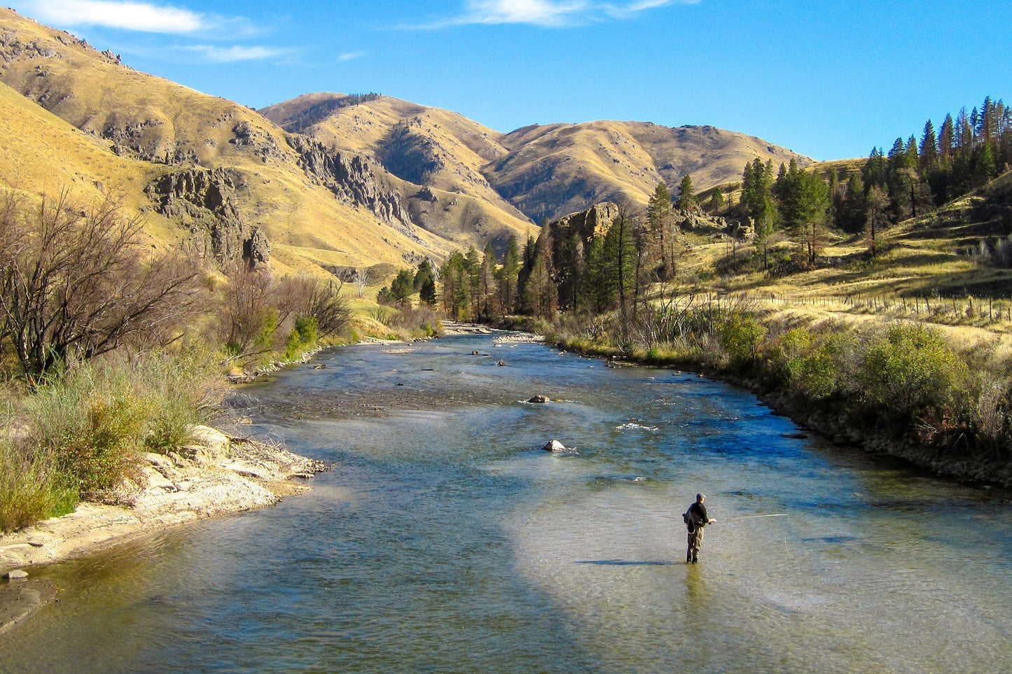 The Fly Fishing Place 3 Pack Bead Head Prince Nymph Fly Fishing Flies - Hook Size 10 - Angler's Pro Tackle & Outdoors