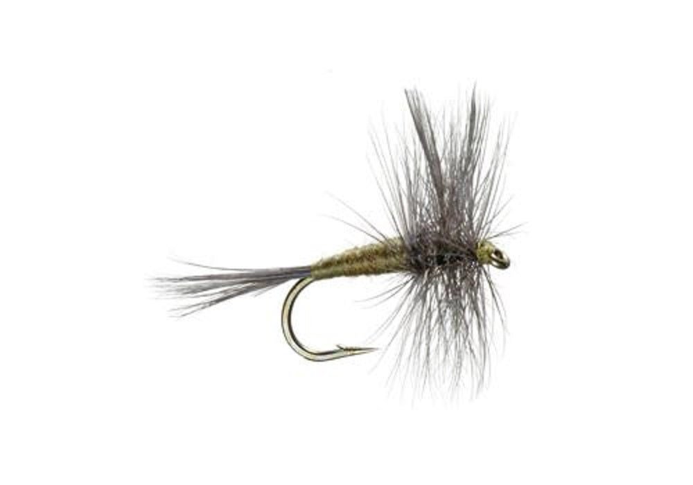 The Fly Fishing Place 3 Pack Blue Wing Olive BWO Classic Dry Fly - Hook Size 16 - Angler's Pro Tackle & Outdoors