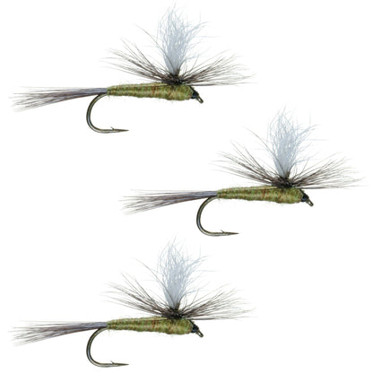 The Fly Fishing Place 3 Pack Blue Wing Olive BWO Parachute Dry Fly - Hook Size 16 - Angler's Pro Tackle & Outdoors