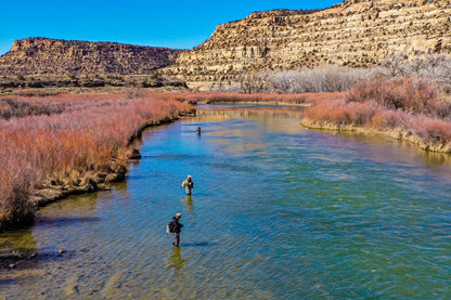 The Fly Fishing Place 3 Pack Double Bead Black Biot Legs Gold Ribbed Hare's Ear Nymph Fly Fishing Flies Hook Size 8 - Angler's Pro Tackle & Outdoors