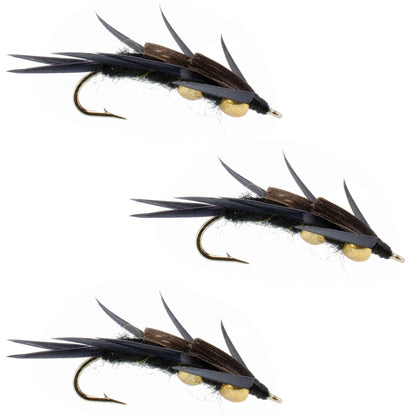 The Fly Fishing Place 3 Pack Double Bead Black Stone Fly with Black Biot Legs - Stonefly Wet Fly - Hook Size 12 - Angler's Pro Tackle & Outdoors