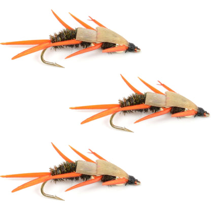 The Fly Fishing Place 3 Pack Double Bead Peacock Stonefly Nymph with Amber Biot Legs Fly Fishing Flies - Trout and Bass Wet Fly Pattern - Hook Size 10 - Angler's Pro Tackle & Outdoors