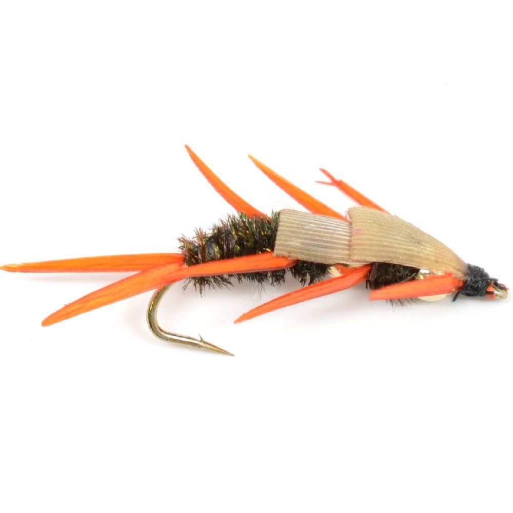 The Fly Fishing Place 3 Pack Double Bead Peacock Stonefly Nymph with Amber Biot Legs Fly Fishing Flies - Trout and Bass Wet Fly Pattern - Hook Size 14 - Angler's Pro Tackle & Outdoors