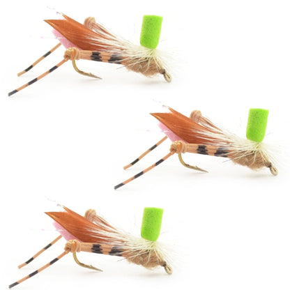 The Fly Fishing Place 3 Pack Green Top Hopper Foam Body Grasshopper Fly - Hook Size 10 - Angler's Pro Tackle & Outdoors
