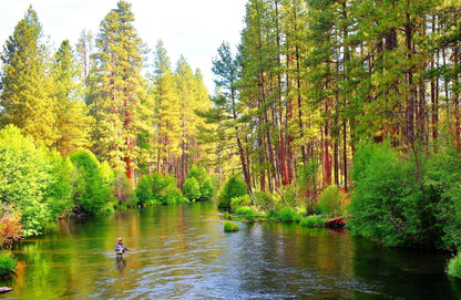 The Fly Fishing Place 3 Pack H & L Variant Classic Dry Flies Hook Size 12 - Angler's Pro Tackle & Outdoors