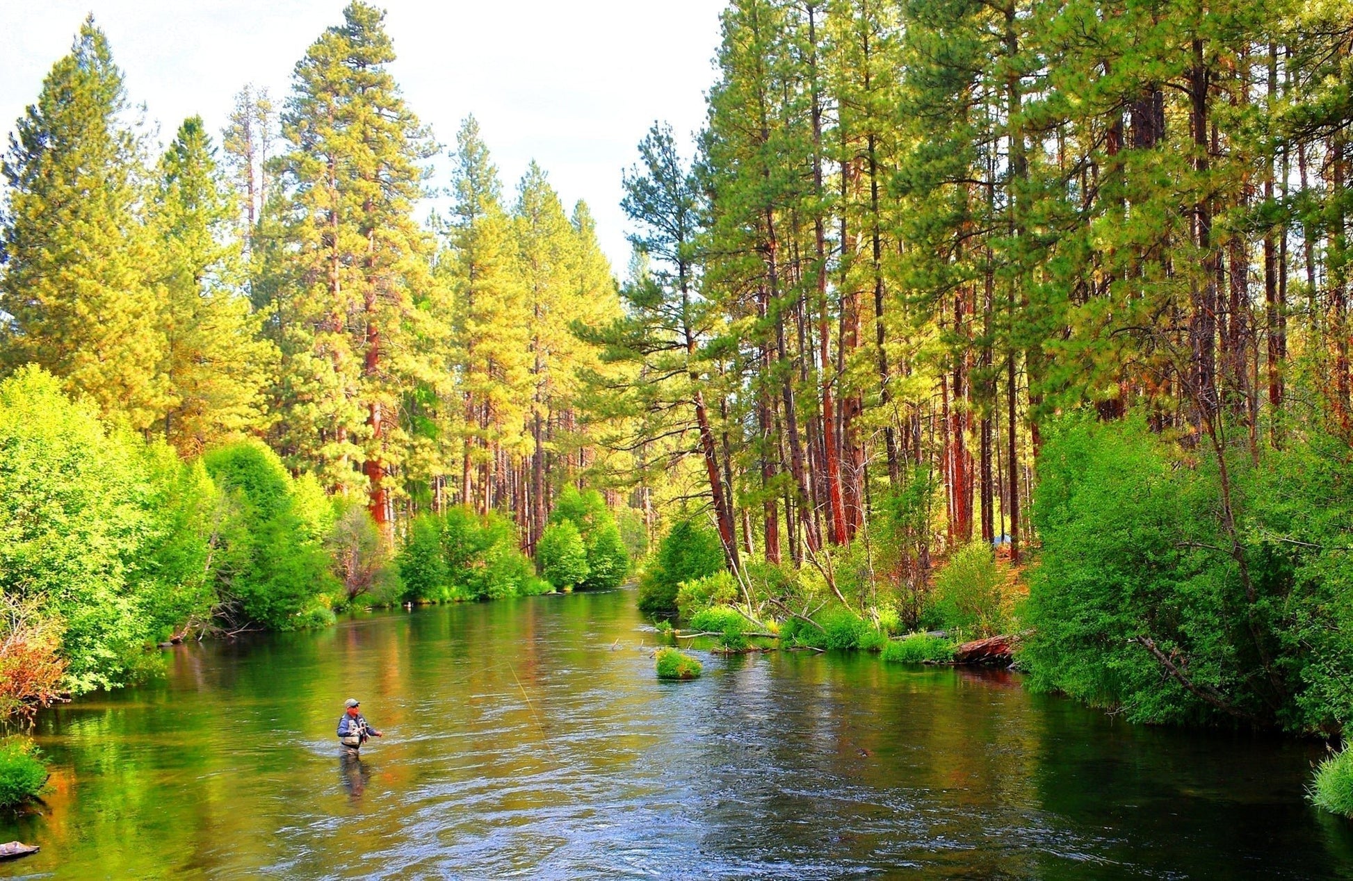 The Fly Fishing Place 3 Pack H & L Variant Classic Dry Flies Hook Size 14 - Angler's Pro Tackle & Outdoors