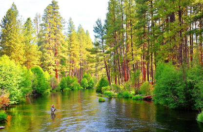 The Fly Fishing Place 3 Pack H & L Variant Classic Dry Flies Hook Size 14 - Angler's Pro Tackle & Outdoors