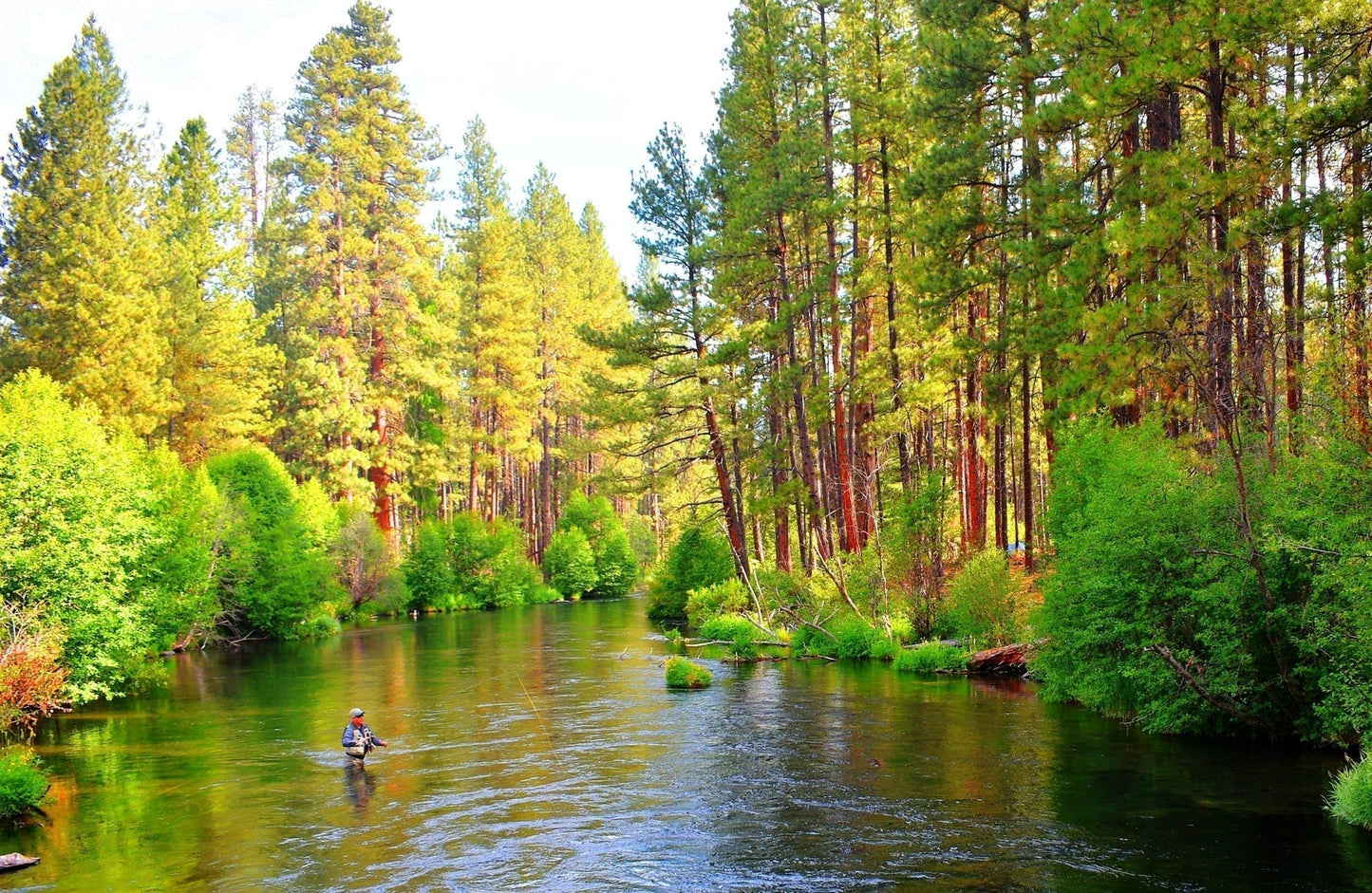 The Fly Fishing Place 3 Pack H & L Variant Classic Dry Flies Hook Size 16 - Angler's Pro Tackle & Outdoors