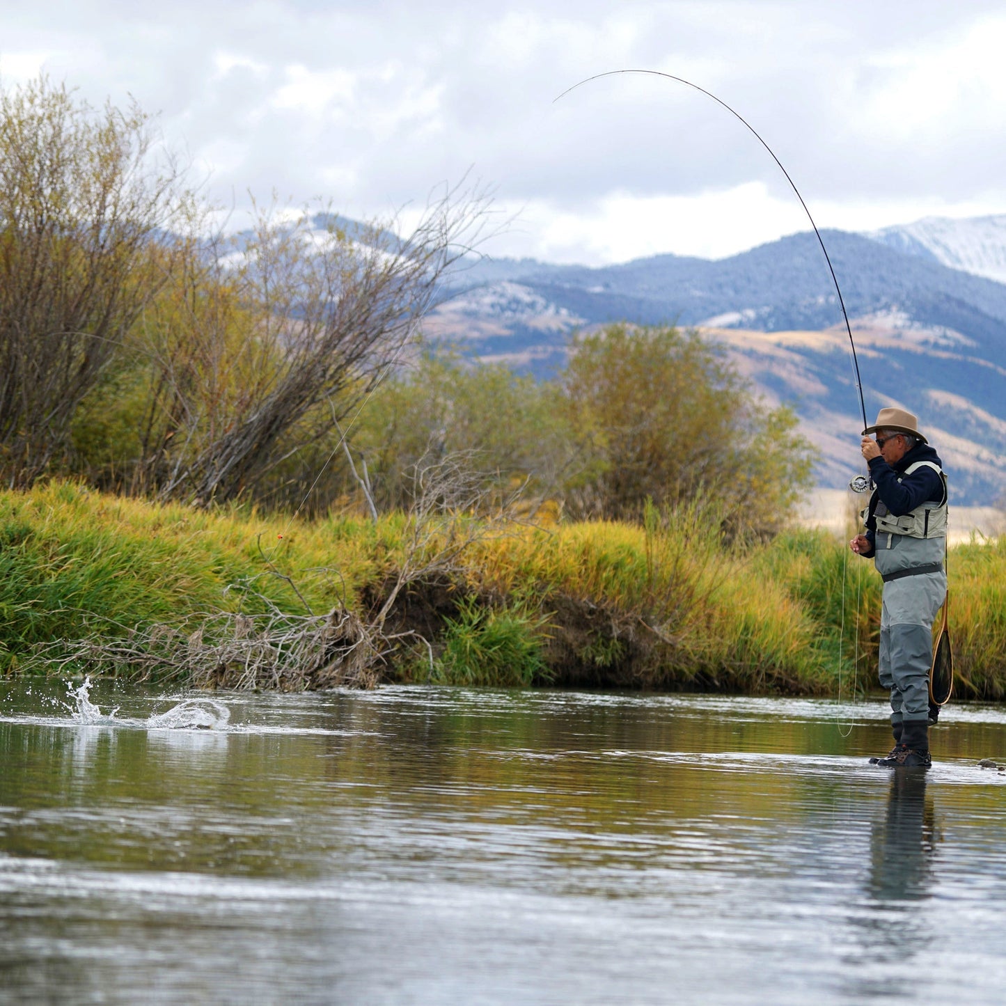 The Fly Fishing Place 3 Pack Kaufmann's Orange Crystal Stimulator Rubber Legs Dry Fly - Hook Size 10 - Angler's Pro Tackle & Outdoors