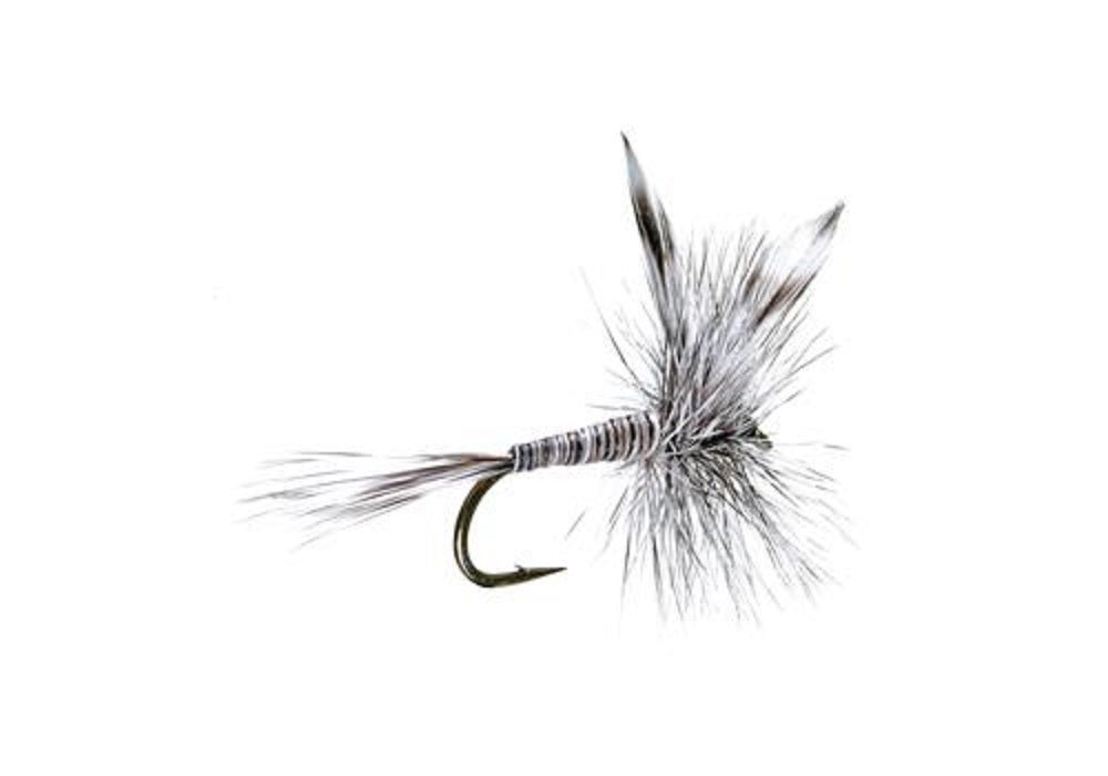 The Fly Fishing Place 3 Pack Mosquito Classic Trout Dry Fly Fishing Flies - Hook Size 16 - Angler's Pro Tackle & Outdoors