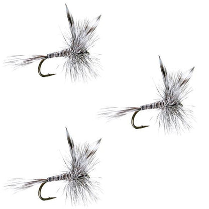 The Fly Fishing Place 3 Pack Mosquito Classic Trout Dry Fly Fishing Flies - Hook Size 20 - Angler's Pro Tackle & Outdoors