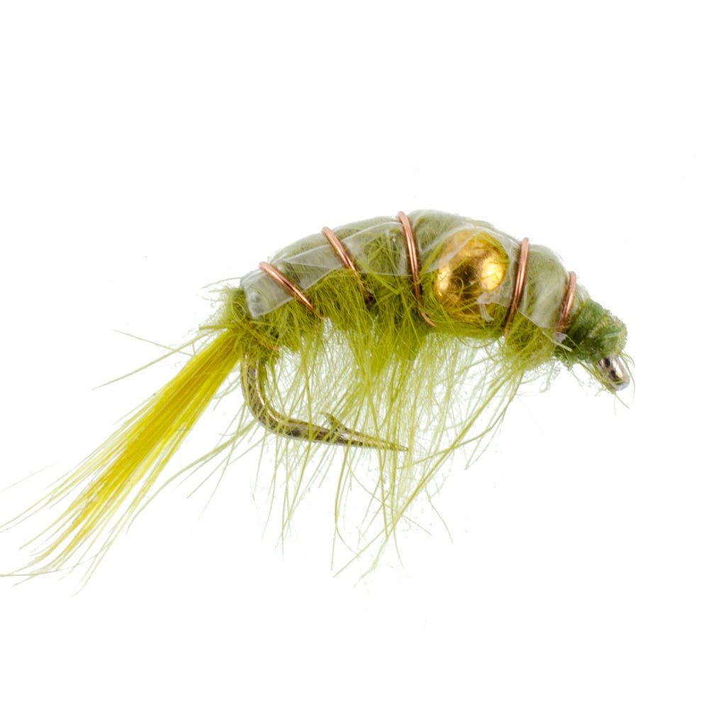 The Fly Fishing Place 3 Pack Olive Beaded Shrimp Scud Pattern - Size 12 - Tailwater Lake Fly Fishing Nymph Flies - Angler's Pro Tackle & Outdoors
