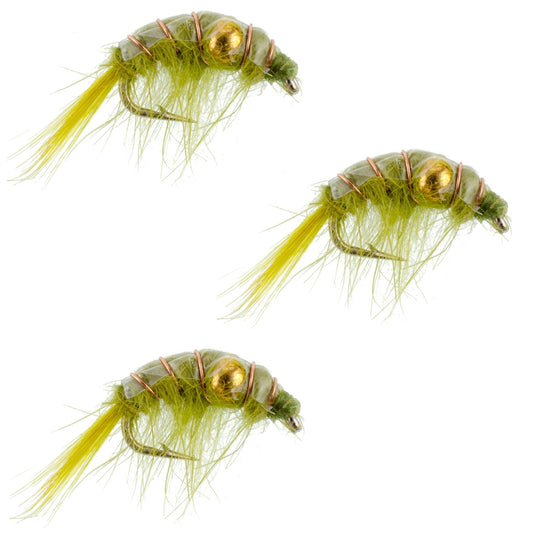 The Fly Fishing Place 3 Pack Olive Beaded Shrimp Scud Pattern - Size 12 - Tailwater Lake Fly Fishing Nymph Flies - Angler's Pro Tackle & Outdoors