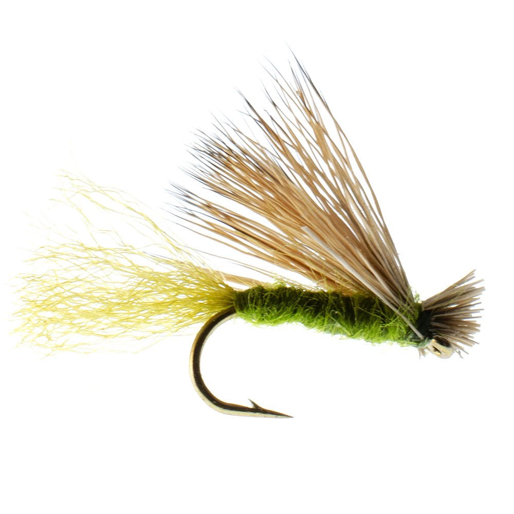 The Fly Fishing Place 3 Pack Olive X Caddis Emerging Caddis Adult Trout Dry Fly - Hook Size 14 - Angler's Pro Tackle & Outdoors