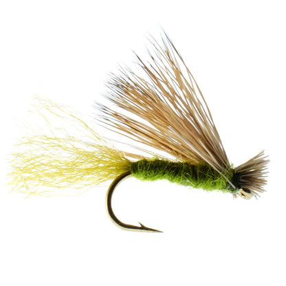 The Fly Fishing Place 3 Pack Olive X Caddis Emerging Caddis Adult Trout Dry Fly - Hook Size 14 - Angler's Pro Tackle & Outdoors