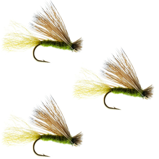 The Fly Fishing Place 3 Pack Olive X Caddis Emerging Caddis Adult Trout Dry Fly - Hook Size 14 - Angler's Pro Tackle & Outdoors