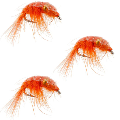 The Fly Fishing Place 3 Pack Orange Beaded Shrimp Scud Pattern - Size 12 - Tailwater Lake Fly Fishing Nymph Flies - Angler's Pro Tackle & Outdoors