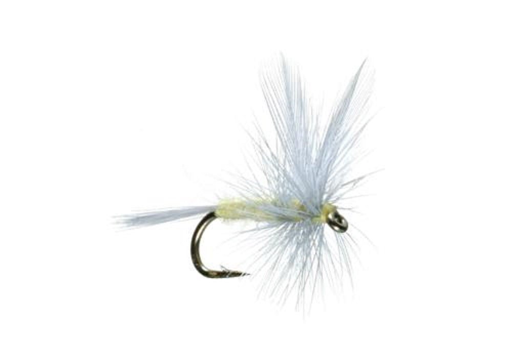 The Fly Fishing Place 3 Pack Pale Morning Dun PMD Classic Dry Fly - Hook Size 14 - Angler's Pro Tackle & Outdoors
