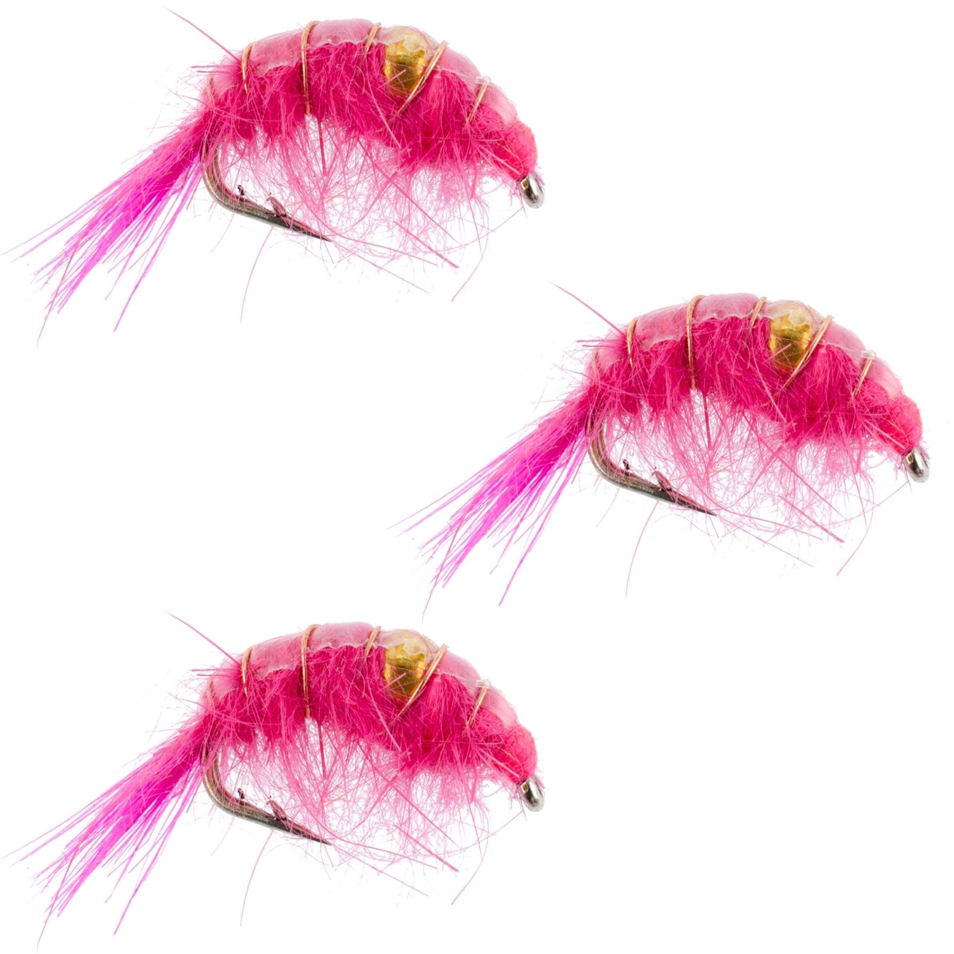 The Fly Fishing Place 3 Pack Pink Beaded Shrimp Scud Pattern - Size 12 - Tailwater Lake Fly Fishing Nymph Flies - Angler's Pro Tackle & Outdoors