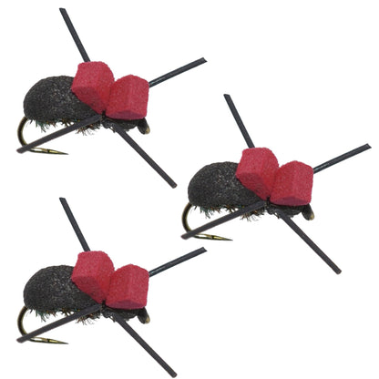 The Fly Fishing Place 3 Pack Red Top Black Foam Beetle Terrestrial Trout Dry Fly Fishing Flies - Hook Size 14 - Angler's Pro Tackle & Outdoors