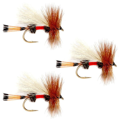The Fly Fishing Place 3 Pack Royal Trude Classic Hair Wing Dry Fly - Hook Size 10 - Angler's Pro Tackle & Outdoors